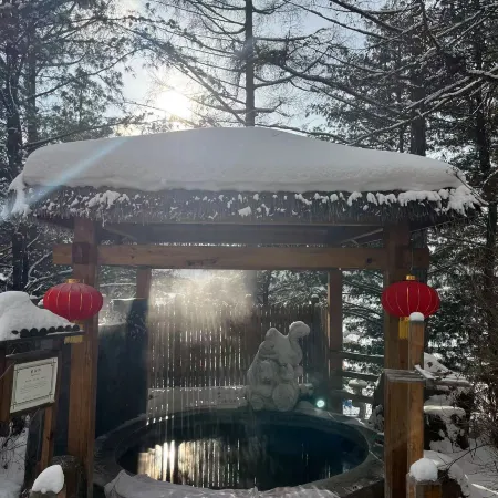 Changbaishan Tianmu Daisi Hot Spring Hotel