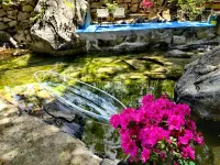 Yunzhu Homestay·North Courtyard