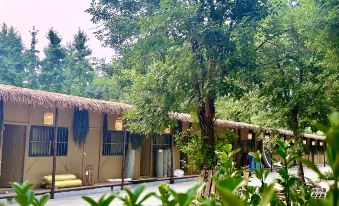 Wutong Forest Campground