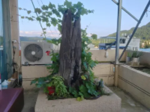 Hezhang Tingfeng Homestay