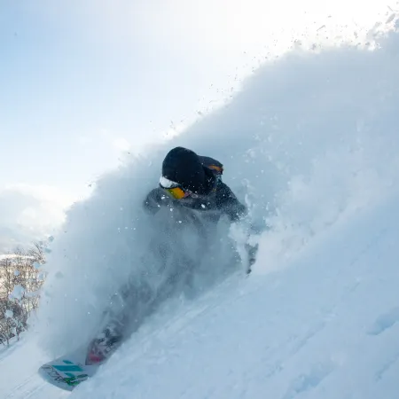 Niseko Landmark View