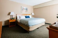 Lobstick Lodge Hotel a Jasper