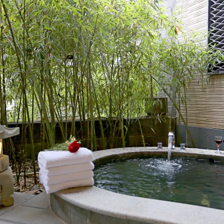 Emeishan Liyuan·Zenlin Hot Spring Hotel