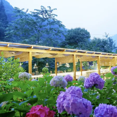 Qingcheng Mountain is not late