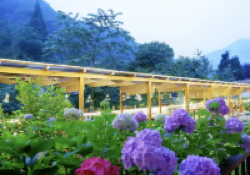 青城山不晚民宿