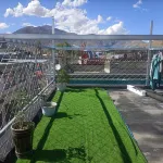 Shannan Flower Like Jin Homestay