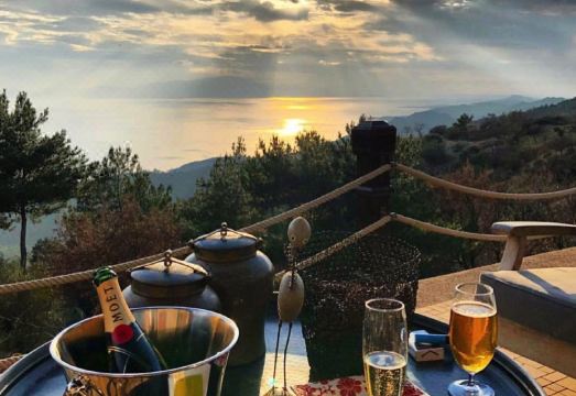 3. 시무르그 인..