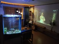 liesurely rome Hotels in Yangquan