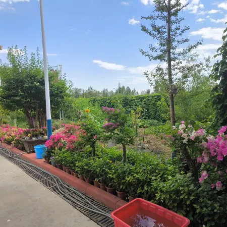 Vienna International Hotel (Huoyanshan Road, Grape Valley, Turpan)
