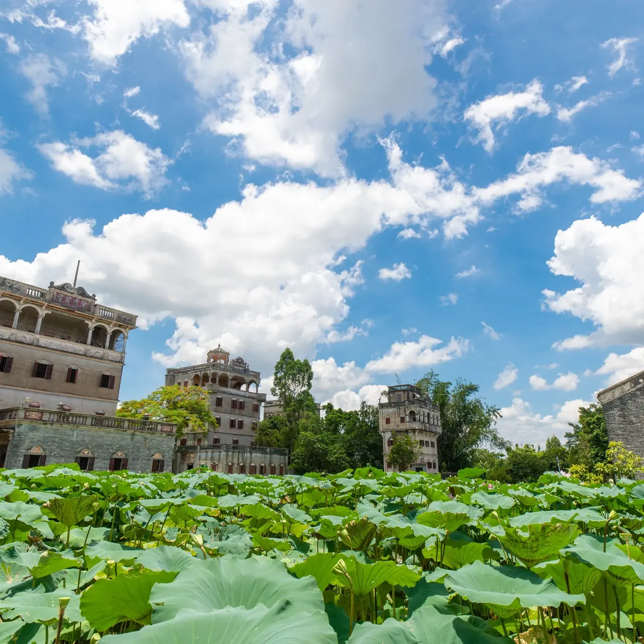 <h1>Homestays Near Longkang 2nd Road・Best Guest house</h1>