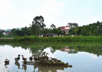 Yueta X E-sports Hotel (Overseas Chinese Middle School)