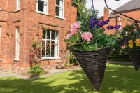 Gregory by the Warren Collection Hotel in zona Belfast Botanic Garden