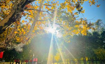 Jinling Shenzhou Hotel