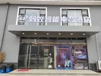 Ant Smart E-sports Homestay Hotels in Xinjiang