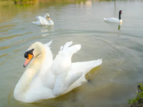 คาทิลิยา ปาร์ค วิลล่า โรงแรมในอำเภอ แม่จัน