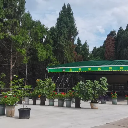 Deyang Tianye Homestay