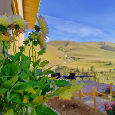 Genie Ziyue Mountain Retreat Homestay (Zeba Village)