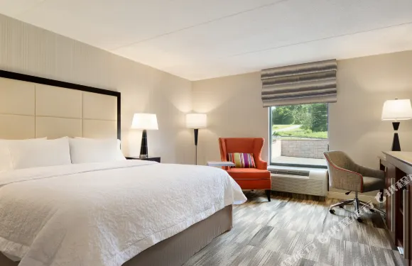 希爾頓歡朋酒店-利哈伊頓詹姆索普