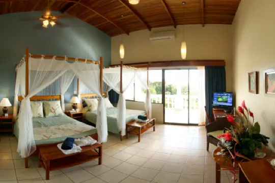 克里斯塔爾巴倫娜水療精品酒店