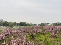 上海宿於民宿 - 花园