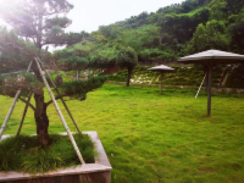 象山東旦春暖花開海景民宿