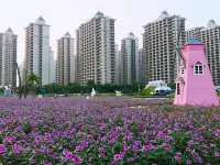 Dingying Boutique Apartment (Hailingdao Hengda Shili Yintan Branch) Hotels in Evergrande Hawaii