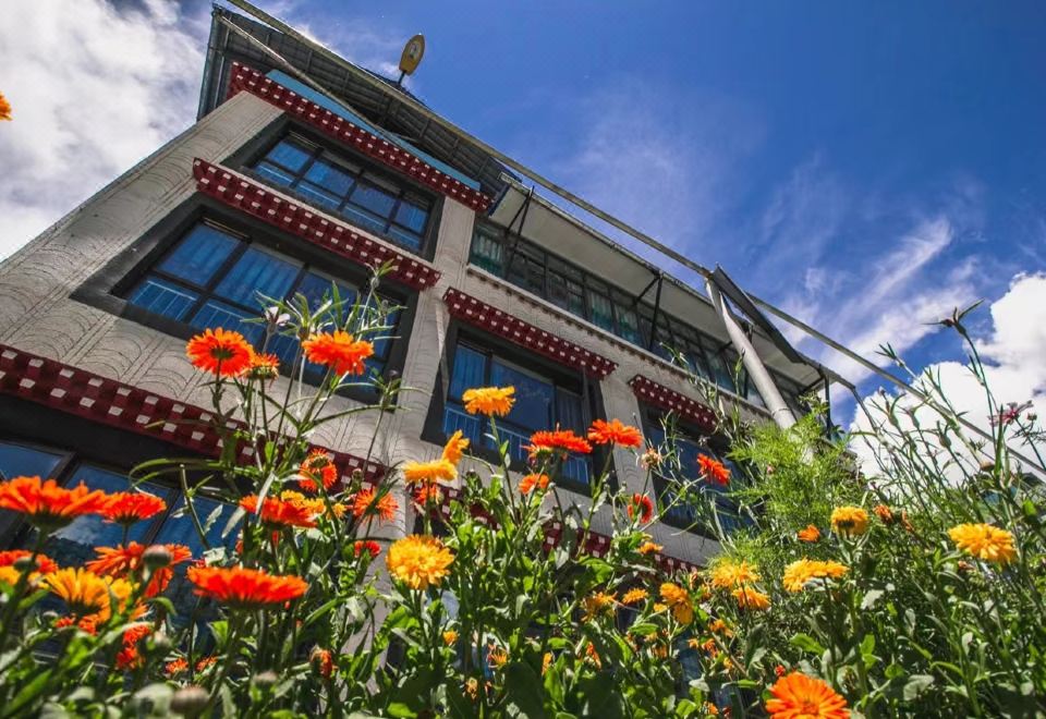 Gama Snowy Resort 풍경
