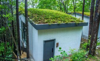 Guangyuan Zengjiashan Shiguang Zhuyin Forest Homestay