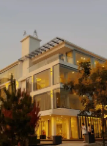 TingDao Twelve Strokes