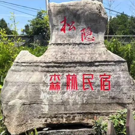 Songyin Forest Homestay (Nanchuan Jinfo Mountain) Отели рядом с достопримечательностью «Laolongdong Scenic Area»