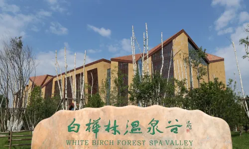 Baihualin Hot Spring Valley Hotel