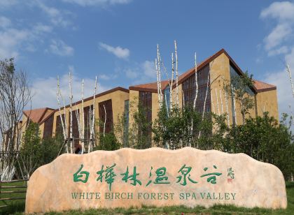 Baihualin Hot Spring Valley Hotel