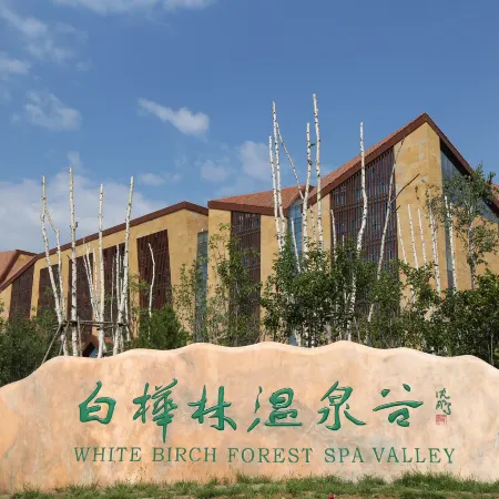 Baihualin Hot Spring Valley Hotel