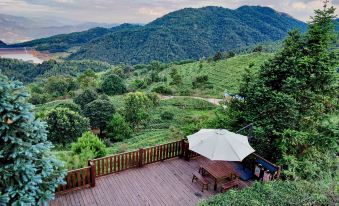 Yue Shan Tea Estate