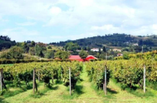 Lavandeira Douro Nature and Wellness