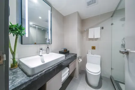 Homeinn Selected Hotel (Jinzhou Central South Street Hongxing Meikailong) Отели в г. Цзиньчжоу