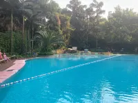 Jiucheng Hotel - Luxury