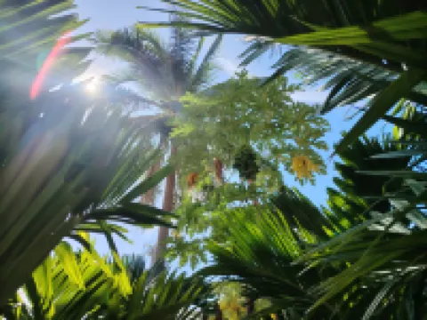 Sanya Nanshan North Yard Minsu (Nanshansi Branch) Hotels near Sanya Nanshan Cultural Tourism Zone