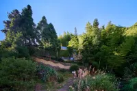 Quzhou Moon Falling Stars Homestay - Pools