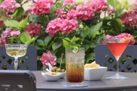 Hotel Indigo VERONA - GRAND HOTEL DES ARTS by IHG - bar