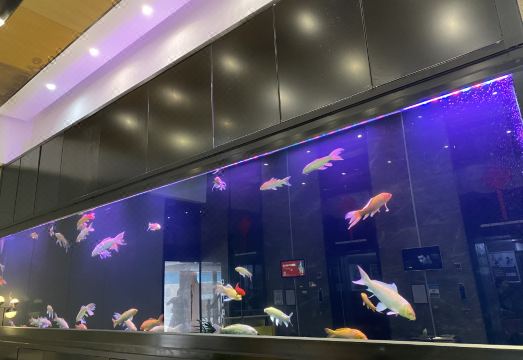 가오거 인터내셔널 호텔