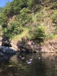 Changshanxi Shangcunshe Homestay - Bjergudsigt