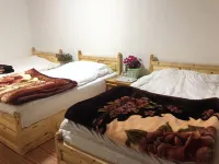 Zhuji hotel - خدمة نقل من وإلى المطار
