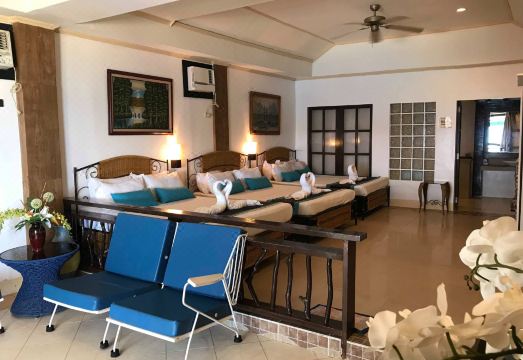 5. 블루 코럴스 비..