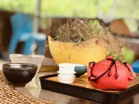 Jianshi Yiyuan Guesthouse Hotels near Butterfly Dance Qingjiang · Qingjiang Grand Canyon - Butterfly Rock