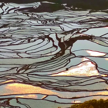 Yuanyang Yuanshe Mulaya Homestay (Terraced Field Scenic Area)