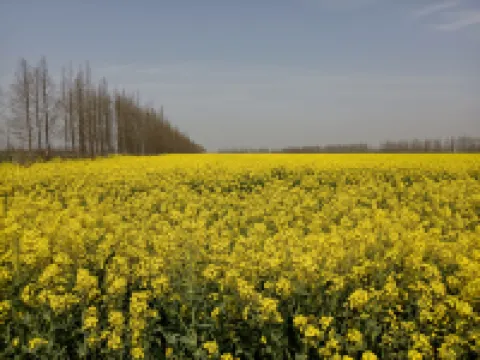 上海崇和園農園