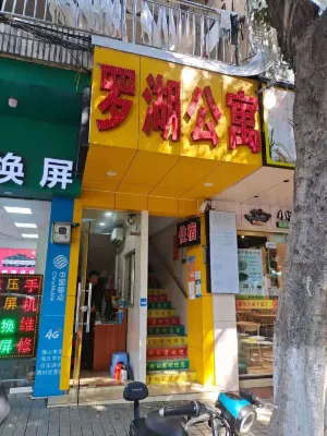 Foshan Luohu Apartment