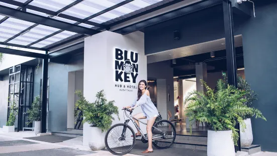 Blu Monkey Hub & Hotel Suratthani