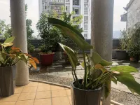 Cen Gong Snail House Hotels in Cengong